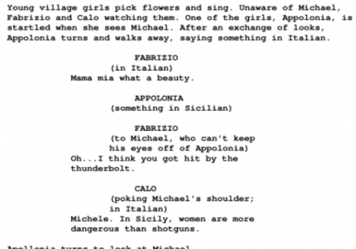 Snippet-of-A-Movie-Script